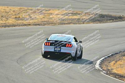 media/Feb-01-2025-Turn8 Trackdays (Sat) [[5681b0f63a]]/Inter 2/Session 1 (Turns 4b and 5)/
